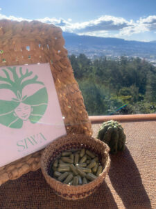 6a67841b82c9138f1f353ce1d5b1dc37